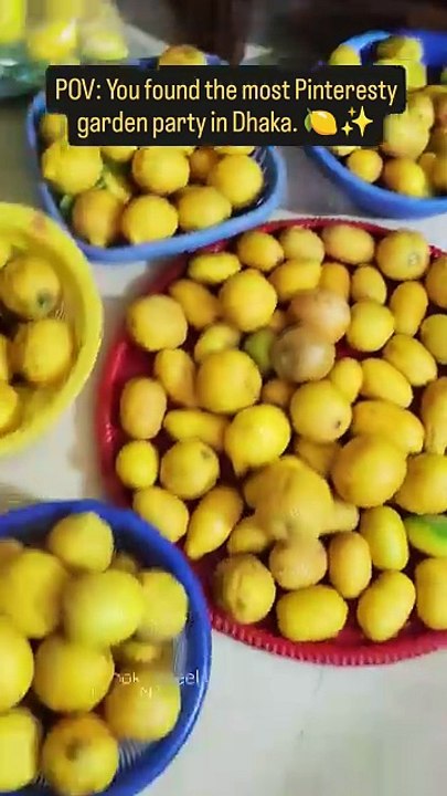 Pinterest-Inspired Lemon Garden Party 🍋 Aesthetic Outdoor Event Setup in Dhaka