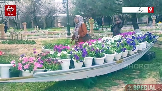 بادام واری کو سال بھر سیاحوں کی توجہ کا مرکز بنانے کے لیے کئی اقدامات اٹھائے گئے، ڈائریکٹر پھول بانی
