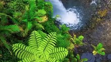 Beautiful Qur’an Recitation – Peaceful and Spiritu