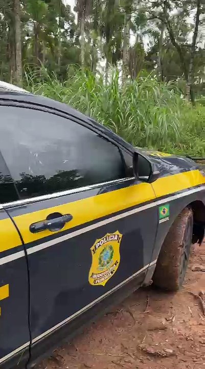 Homem que transportava maconha deita em matagal para tentar se esconder da PRF