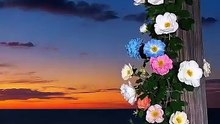 Beautiful Qur’an Recitation – Peaceful and Spiritu