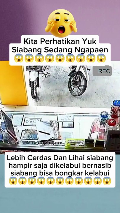 Siabang modusnya pura pura beli