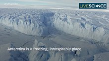 Will Antartica Ever Be Habitable?