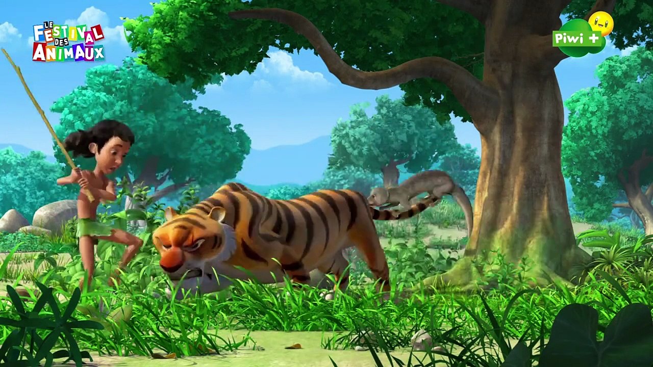 le live de la jungle fr
