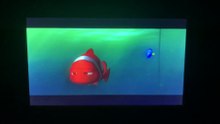 Finding Nemo (2003) Goodbye Dory Scene