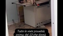 Agozzino Alfredo story visite per il suo cane prima dell'operazione
