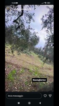 Michele monopoli story oggi non si lavora si va al frantoio