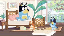 Bluey Episode 10 Complet | Hotel | Bluey Season 1