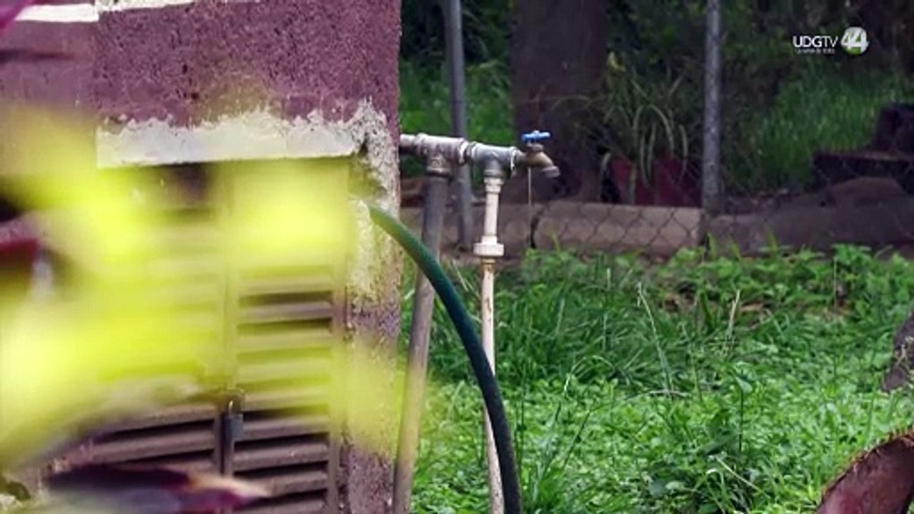 Piden legisladores de Morena que la Conagua revise la mala calidad del agua que distribuye el SIAPA