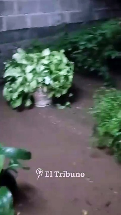 Temporal en Metán: varias casas inundadas por la fuerte lluvia