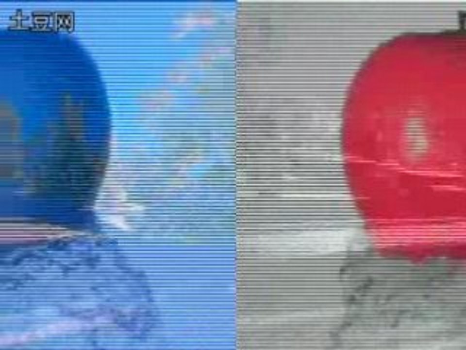 白狐
