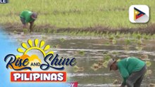 Higit P100-M fuel subsidy, ipapamahagi ng D.A. sa mga magsasaka at mangingisda na apektado rin ng taas-presyo sa langis | ulat ni Elijah Canlas