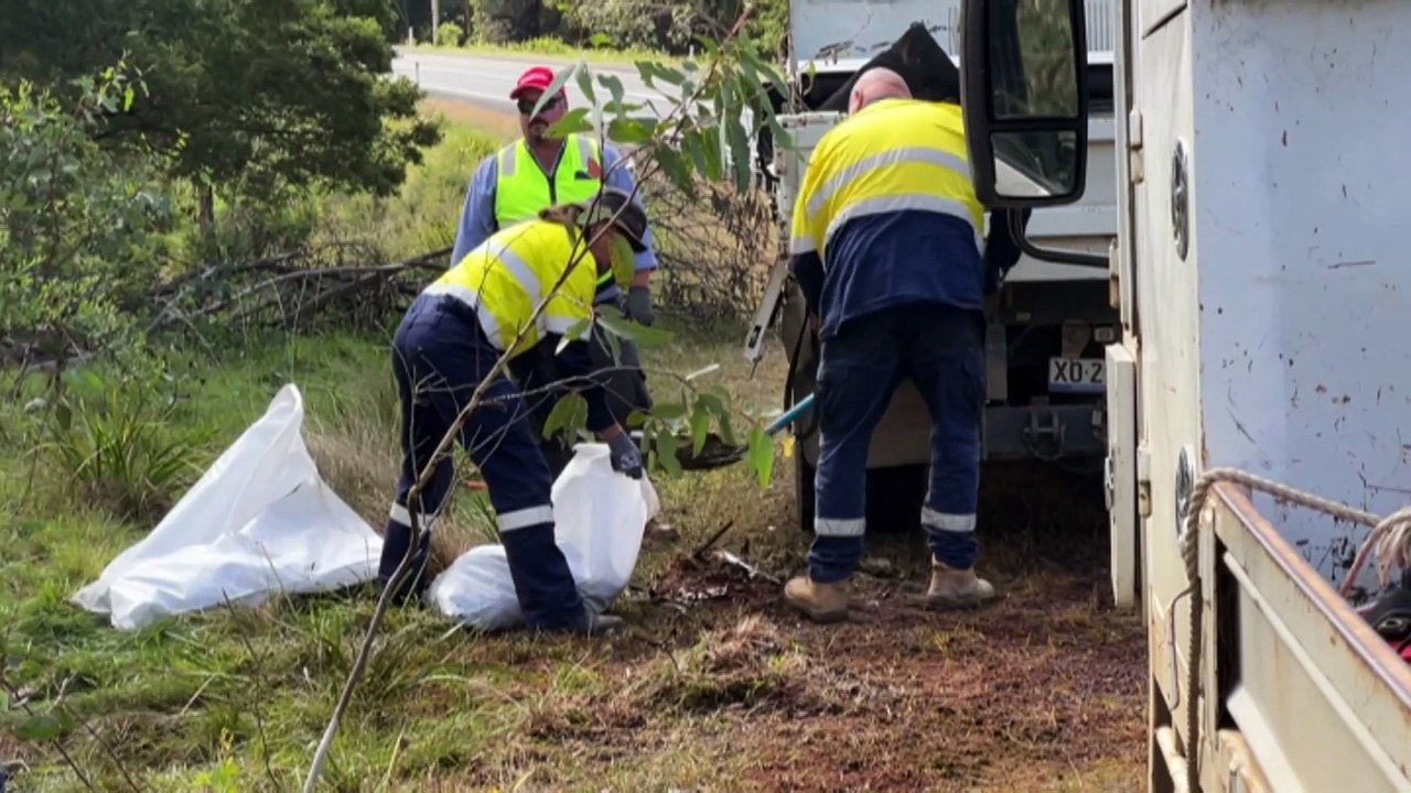 Three people have died in head-on crash in southern NSW
