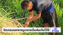 ปิดเทอมออกหาหนูนาขายเป็นเงินเก็บไว้ใช้ | เนชั่นทั่วไทย | 10 มี.ค. 69 | PART 2