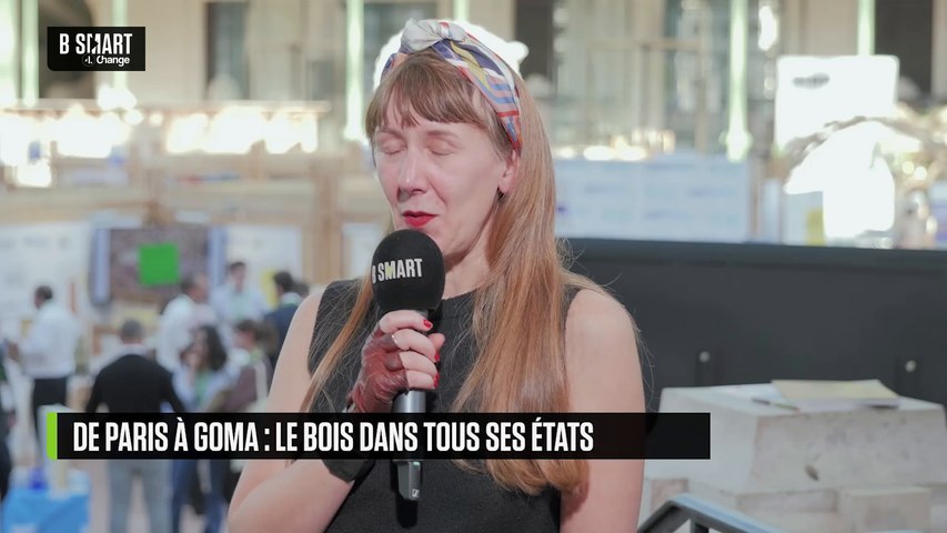 De Paris à Goma : le bois dans tous ses états