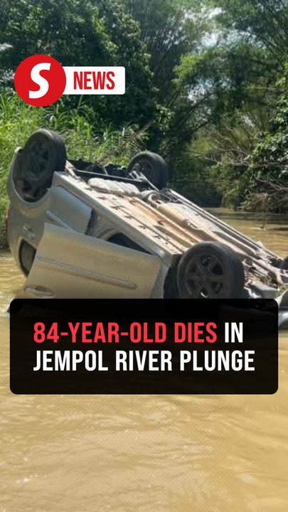 Senior citizen dies after car plunges into river in Jempol