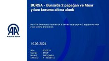 Bursa\'da şok baskın! Hemen el konuldu