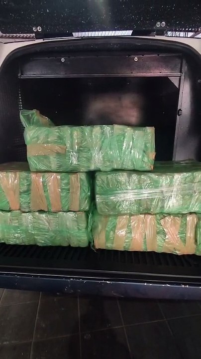 Ação integrada apreende 78 quilos de maconha em área de mata em Guaíra