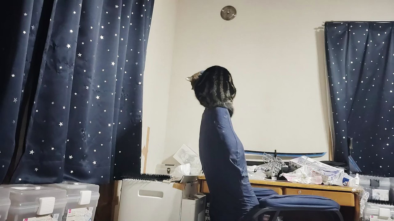 ゲーミングチェアの上に立つミア5