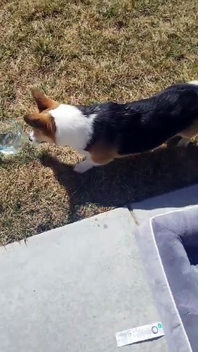 Aero drinking water(?)