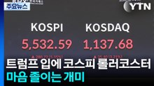 트럼프 입에 롤러코스터 탄 코스피...마음 졸이는 개미들 / YTN