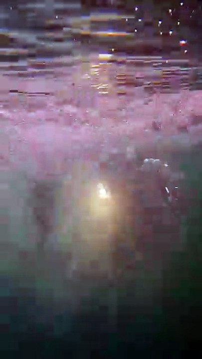 « Depuis le tsunami de 2011, je plonge pour retrouver ma femme » : l'histoire poignante du Japonais Yasuo Takamatsu - Respire - Plongeon