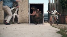 Hippo's Revenge Trailer OV