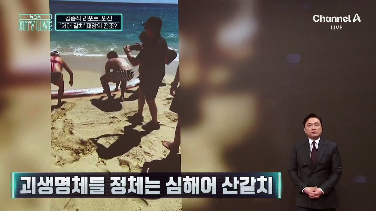 [김종석의 리포트]멕시코 해변서 거대 괴생명체들 발견