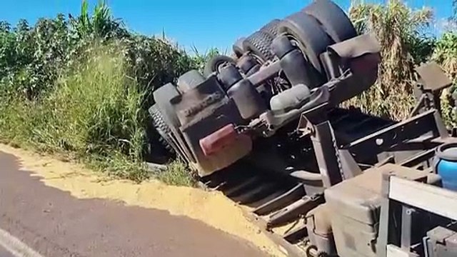 Caminhão carregado com soja capota na BR-163 e motorista é atacado por abelhas