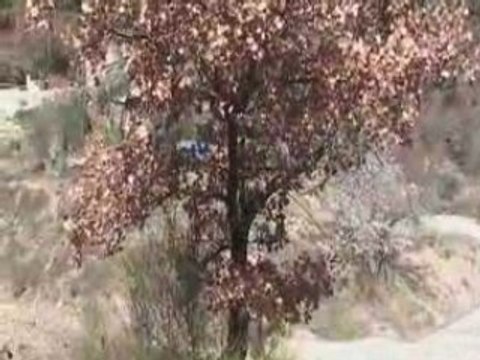 Rallye Vaison la Romaine 2008(Dimanche)