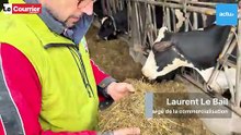 Salon de l'Agriculture : la Ferme des Grands Prés remporte deux médailles