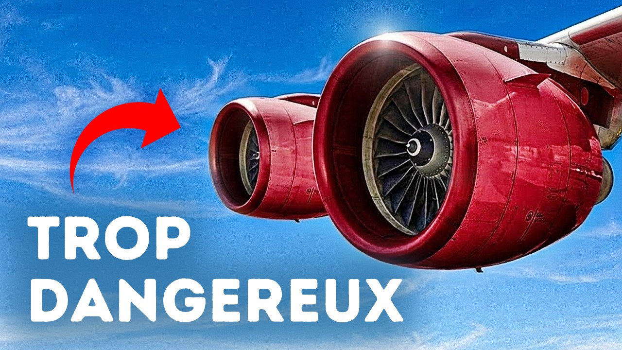 La véritable raison pour laquelle les avions n'ont pas de barrières contre les oiseaux