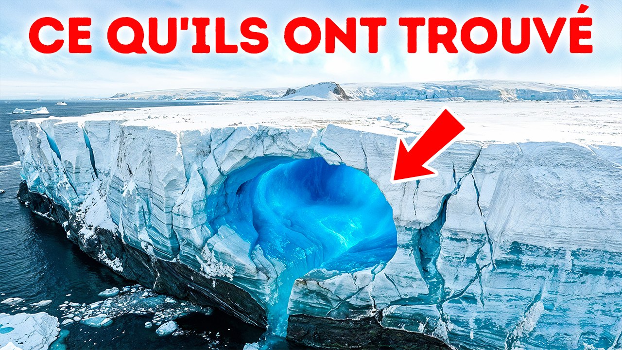 Cette découverte en Antarctique change ce que nous savions de la vie sur Terre