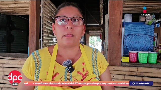 Llegan turistas pese a derrame de hidrocarburo en Veracruz | DPC con Paola Rojas