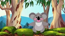 Dancing Koala