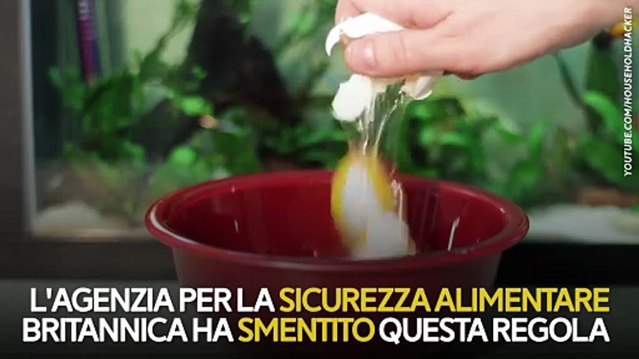 Uova: rischi colesterolo e salmonella ridimensionati