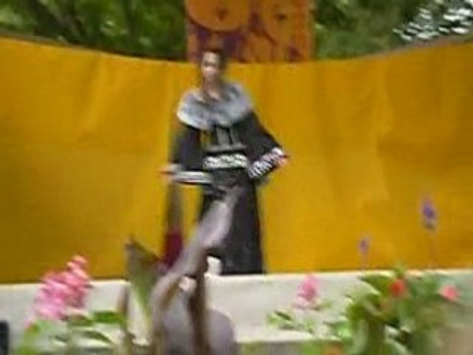 cosplay comedie du livre - Lulu ( Final Fantasy x )