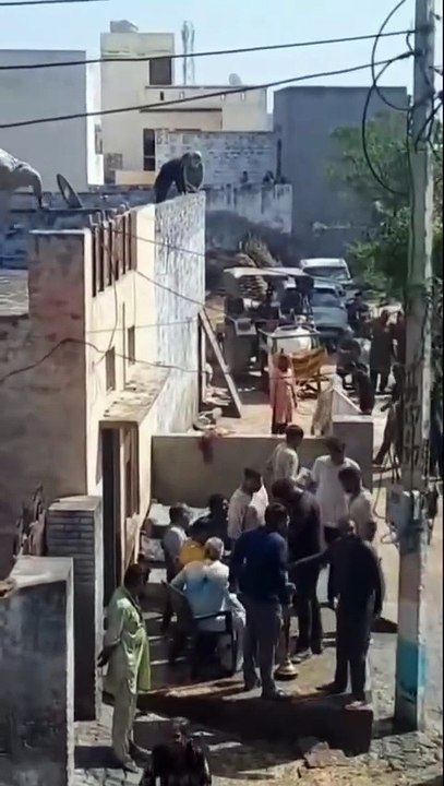 Jeter de la cendre depuis un toit