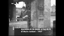 Trattoria Cantarelli 1957 - Mario Soldati.flv