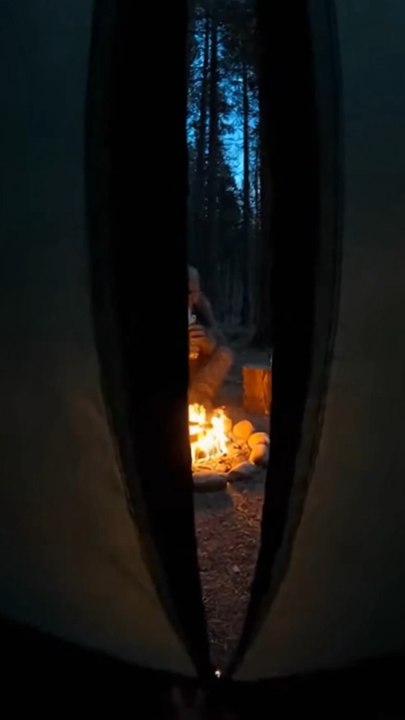 Rencontre inattendue en forêt ⛺️🤣