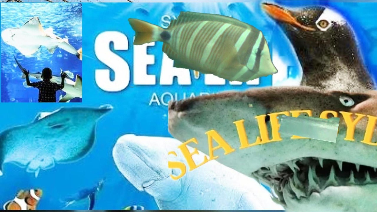 Sealife, Darling Harbour. Sydney LNY 2026, Part 23, Sydney,  7 Mar26