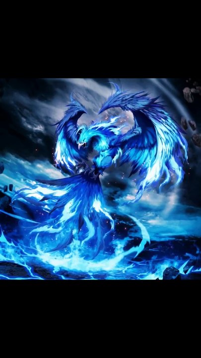 Fênix Renascimento