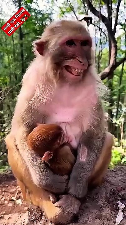 Funny Videos Part 37