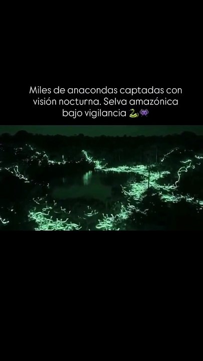 Anacondas al acecho en la Amazonía