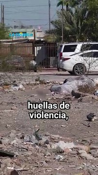Encuentran a mujer sin vida tirada en un lote baldío