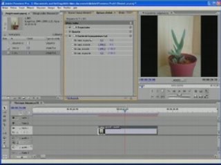 Cache d incrustation