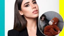 Influencer Tammy Parra conoce al mono “Punch” y su reacción conmueve a todos