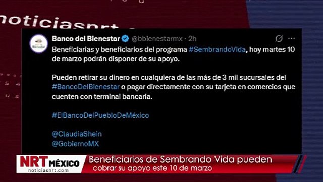 Beneficiarios de Sembrando Vida pueden cobrar su apoyo este 10 de marzo
