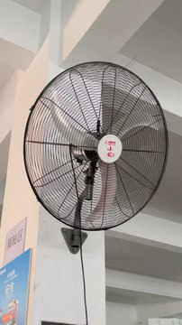 Mingletec high speed BLDC Industrial wall mounted fan #mingle #highspeed #bldc #dcmotor #industrial #fan #oscillating #manufacturer #supplier #hotsellproduct #hotsellproduct #fyp
