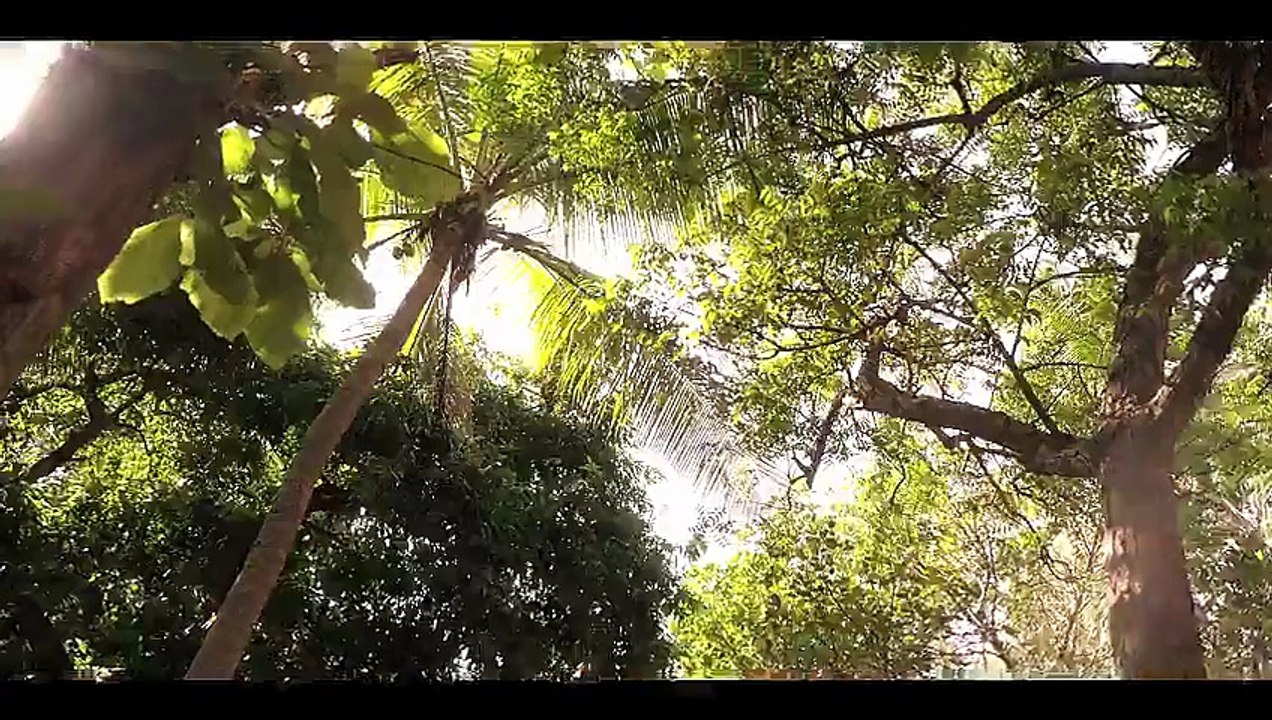 LBW Love Beyond Wicket S01E17 Unspoken Wounds